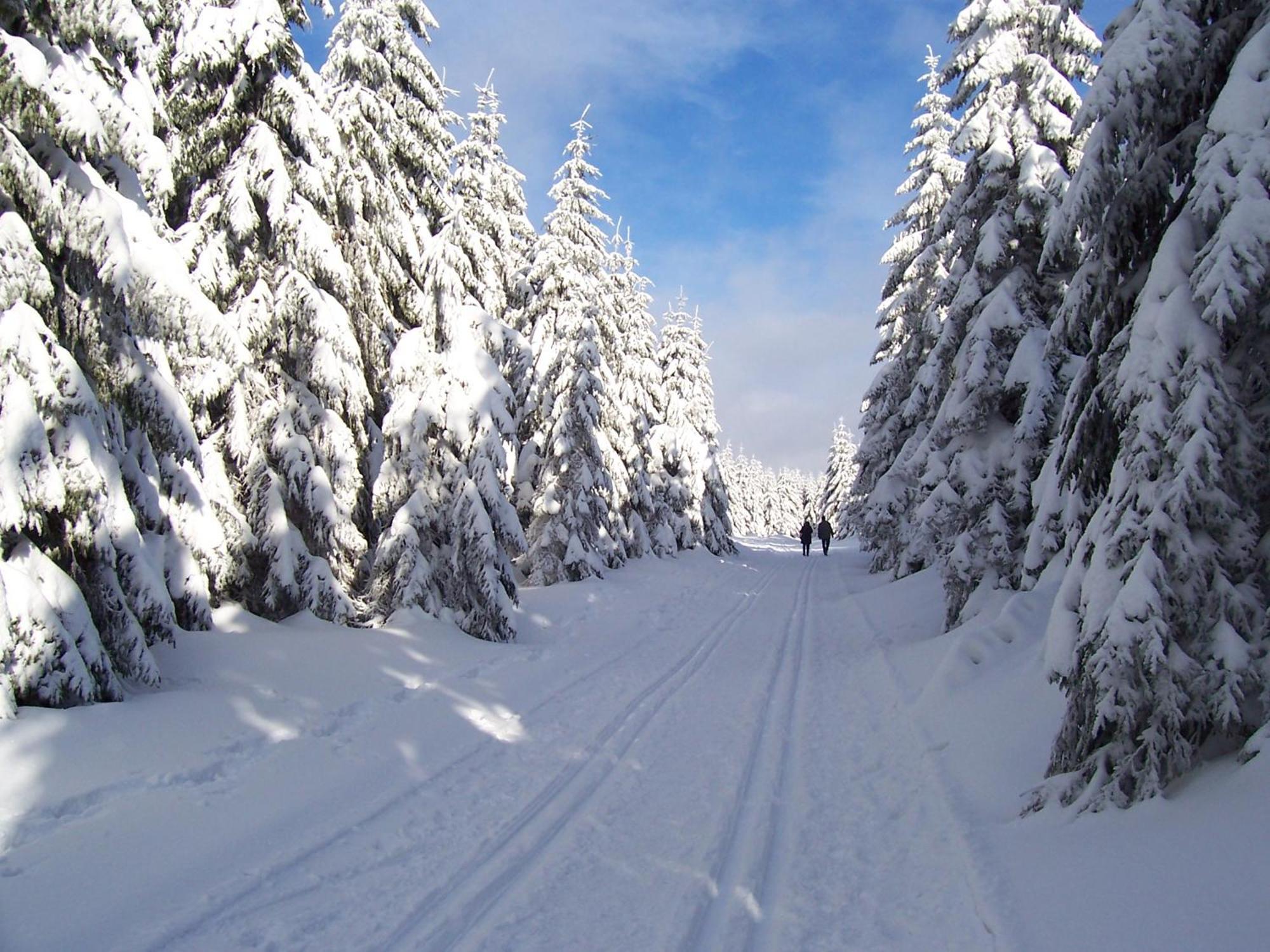 אוברהוף Chalet Sonnenhang Oberhof מראה חיצוני תמונה
